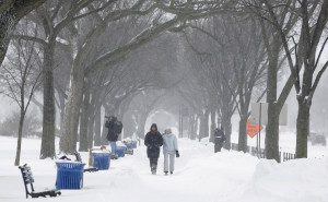 People walk under trees during a winter storm in Washington