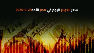 سعر الدولار اليوم في مصر الأحد28-9-2025