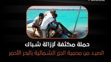 حملة مكثفة لإزالة شباك الصيد من محمية الجزر الشمالية بالبحر الأحمر