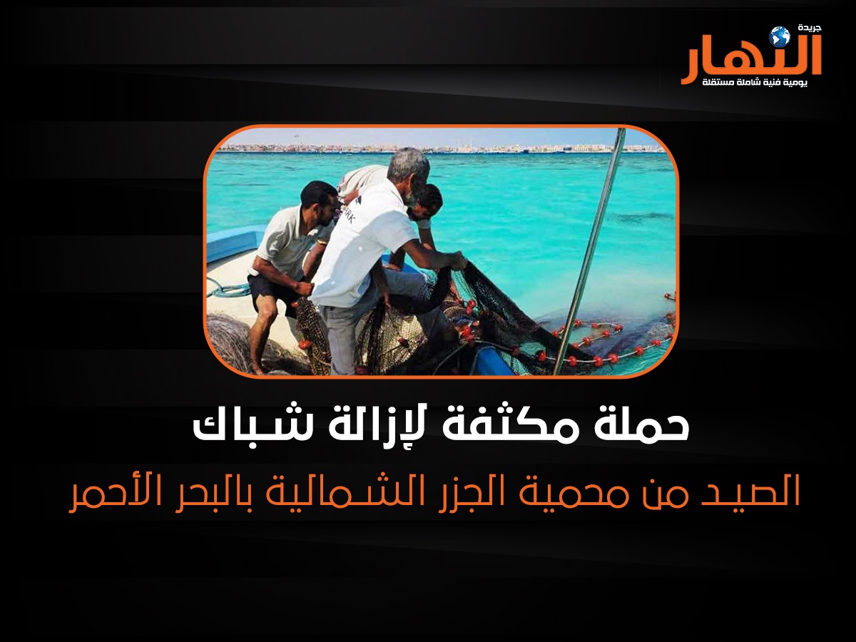حملة مكثفة لإزالة شباك الصيد من محمية الجزر الشمالية بالبحر الأحمر