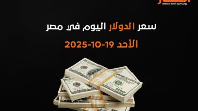 سعر الدولار اليوم في مصر الأحد