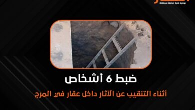 ضبط 6 أشخاص أثناء التنقيب عن الآثار داخل عقار في المرج