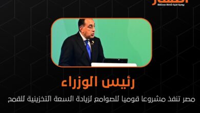 رئيس الوزراء: مصر تنفذ مشروعا قوميا للصوامع لزيادة السعة التخزينية للقمح