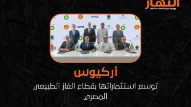 "أركيوس" توسع استثماراتها بقطاع الغاز الطبيعي المصري