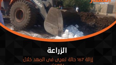 إزالة 167 حالة تعدٍى فى المهد خلال يومين