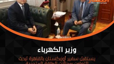 وزير الكهرباء يستقبل سفير أوزبكستان بالقاهرة لبحث التعاون بمجالات الطاقة المتجددة