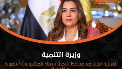 وزيرة التنمية المحلية تبحث مع محافظ شمال سيناء المشروعات التنموية والخدمية