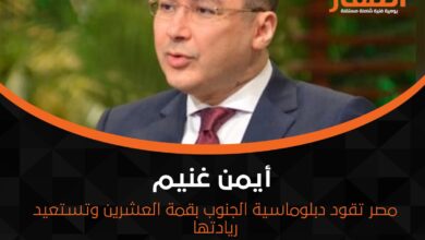 مصر تقود دبلوماسية الجنوب بقمة العشرين وتستعيد ريادتها
