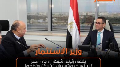 وزير الاستثمار يلتقى رئيس شركة إل جي- مصر لاستعراض مشروعات الشركة وخططها التوسعية