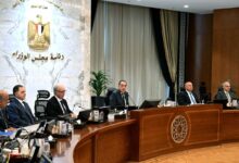 مجلس الوزراء يوافق على استمرار نظام العمل عن بُعد يوم