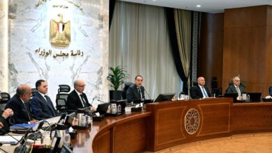 مجلس الوزراء يوافق على استمرار نظام العمل عن بُعد يوم