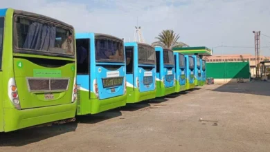 تحويل 200 أتوبيس وميني باص في الإسكندرية للعمل بالغاز الطبيعي لنقل الركاب.