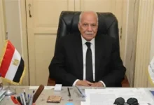 الحزب العربي الناصري