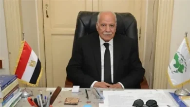 الحزب العربي الناصري