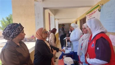 الكشف على 833 مواطنًا خلال قافلة طبية مجانية بقرية البياضية في الإسماعيلية
