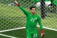 مصطفى شوبير