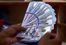 سعر الدولار اليوم