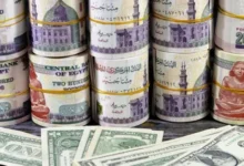 سعر الدولار اليوم
